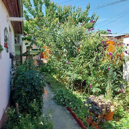 Casa Calin Villa Tulcea Exteriör bild