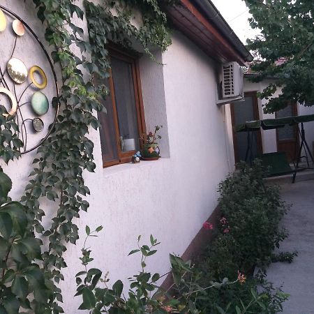 Casa Calin Villa Tulcea Exteriör bild