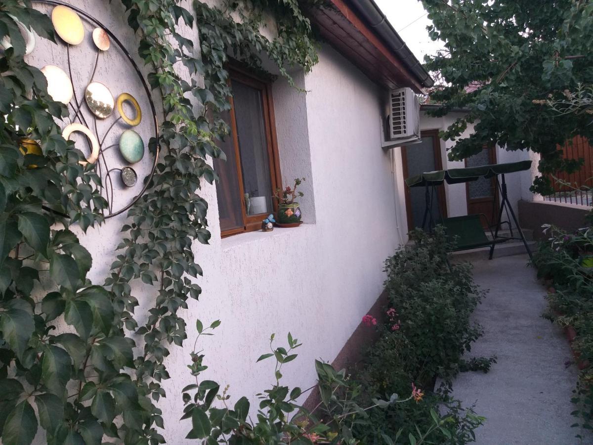 Casa Calin Villa Tulcea Exteriör bild
